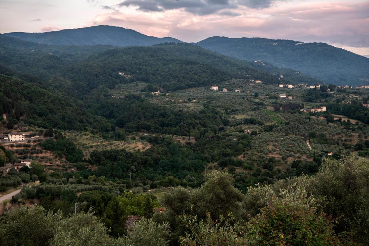 Fattoria Di Caticciano, Elegante Affittacamere Relax E Natura Vicino Firenze Pelago Exterior foto