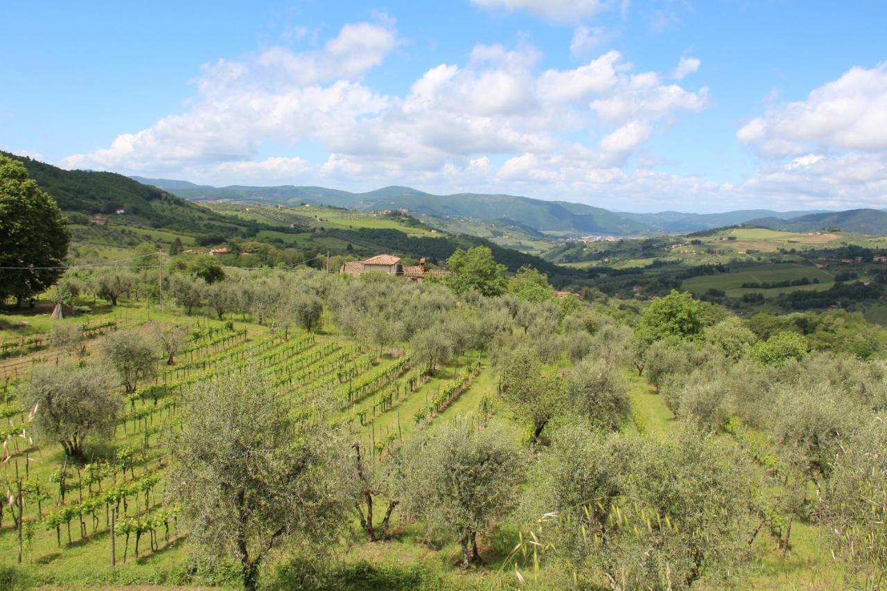 Fattoria Di Caticciano, Elegante Affittacamere Relax E Natura Vicino Firenze Pelago Exterior foto